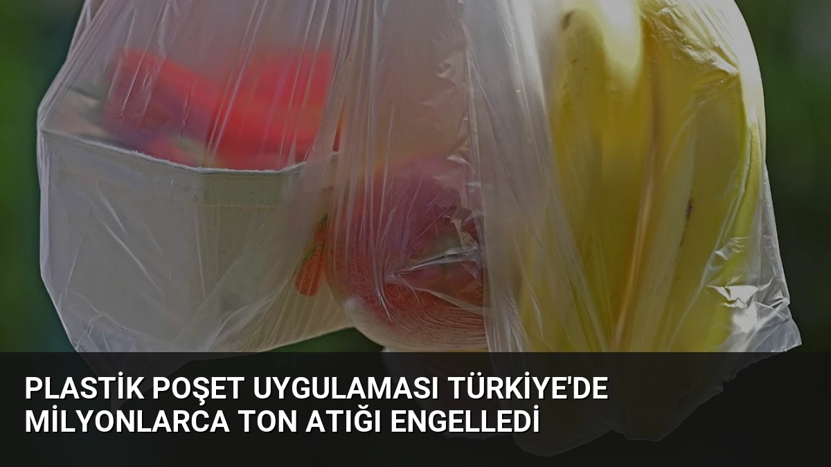 Plastik Poşet Uygulaması Türkiye’de Milyonlarca Ton Atığı Engelledi