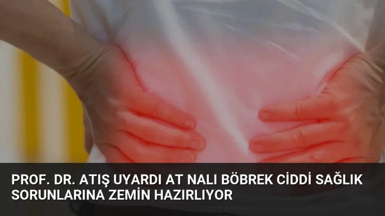 Prof. Dr. Atış Uyardı At Nalı Böbrek Ciddi Sağlık Sorunlarına Zemin Hazırlıyor