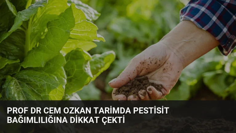 Prof Dr Cem Ozkan Tarimda Pestisit Bağımlılığına Dikkat Çekti
