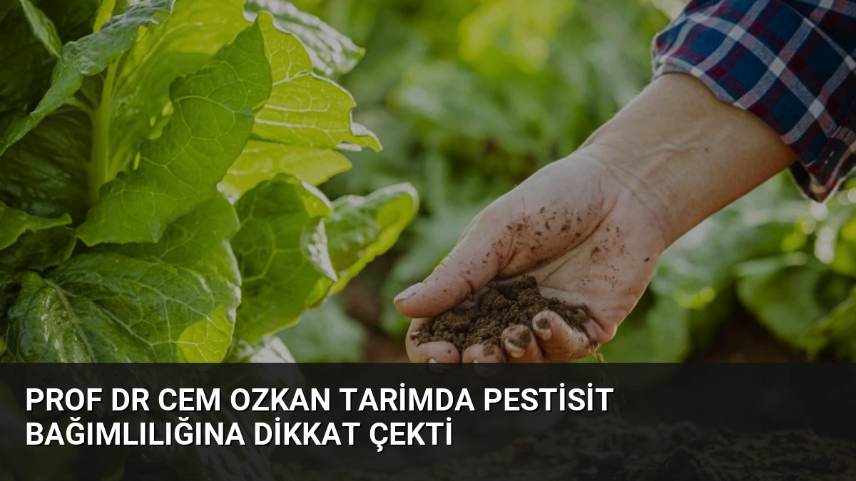 Prof Dr Cem Ozkan Tarimda Pestisit Bağımlılığına Dikkat Çekti