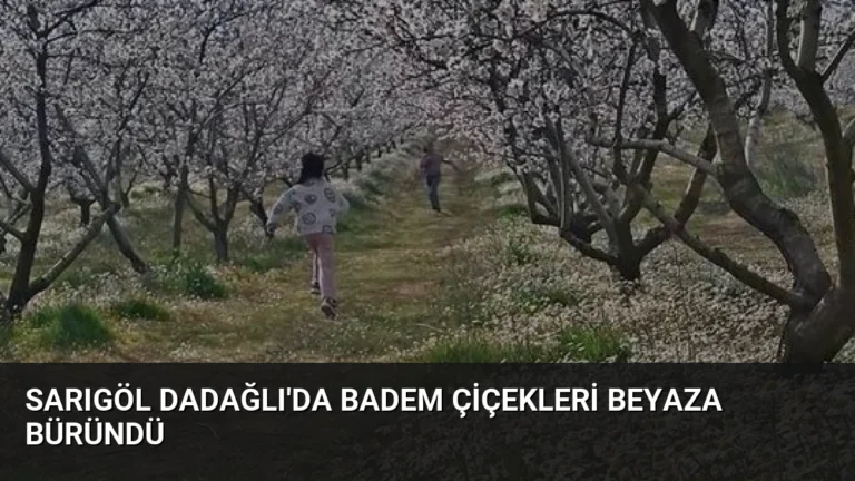 Sarıgöl Dadağlı’da Badem Çiçekleri Beyaza Büründü