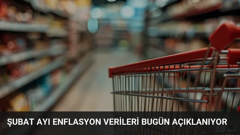 Şubat Ayı Enflasyon Verileri Bugün Açıklanıyor