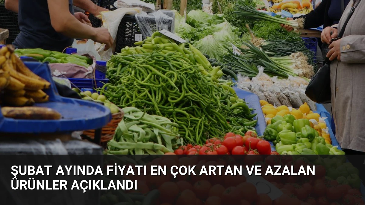 Şubat Ayında Fiyatı En Çok Artan ve Azalan Ürünler Açıklandı