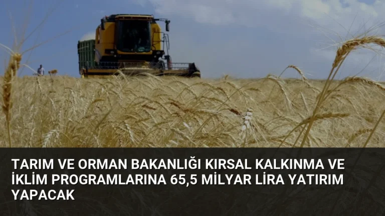 Tarım ve Orman Bakanlığı Kırsal Kalkınma ve İklim Programlarına 65,5 Milyar Lira Yatırım Yapacak