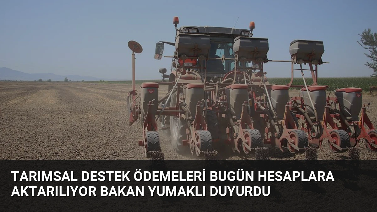 Tarımsal Destek Ödemeleri Bugün Hesaplara Aktarılıyor Bakan Yumaklı Duyurdu