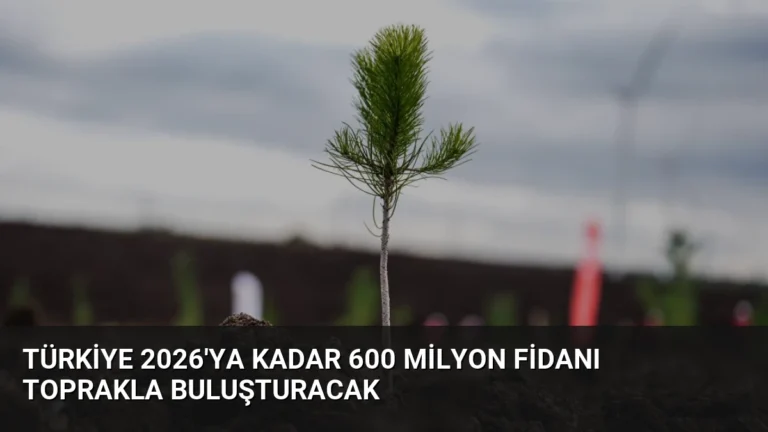 Türkiye 2026’ya Kadar 600 Milyon Fidanı Toprakla Buluşturacak