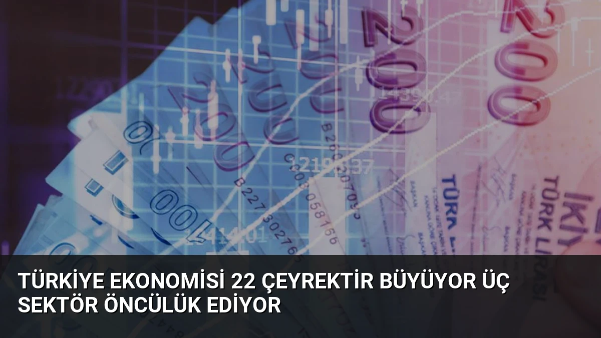 Türkiye Ekonomisi 22 Çeyrektir Büyüyor Üç Sektör Öncülük Ediyor