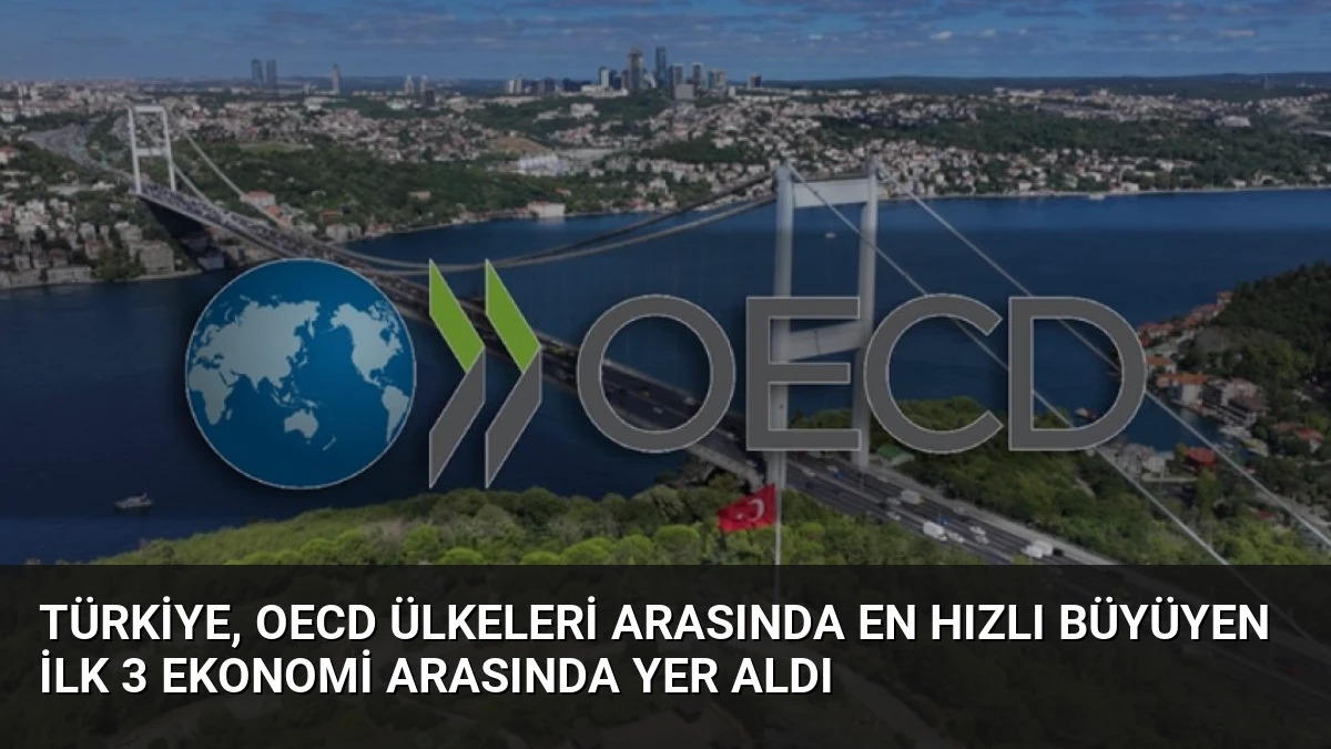 Türkiye, OECD Ülkeleri Arasında En Hızlı Büyüyen İlk 3 Ekonomi Arasında Yer Aldı
