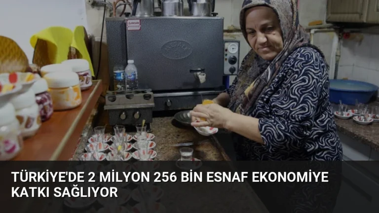 Türkiye’de 2 Milyon 256 Bin Esnaf Ekonomiye Katkı Sağlıyor