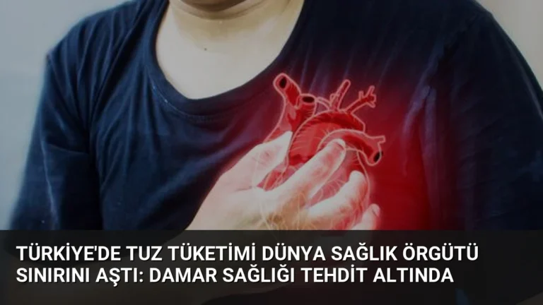Türkiye’de Tuz Tüketimi Dünya Sağlık Örgütü Sınırını Aştı: Damar Sağlığı Tehdit Altında