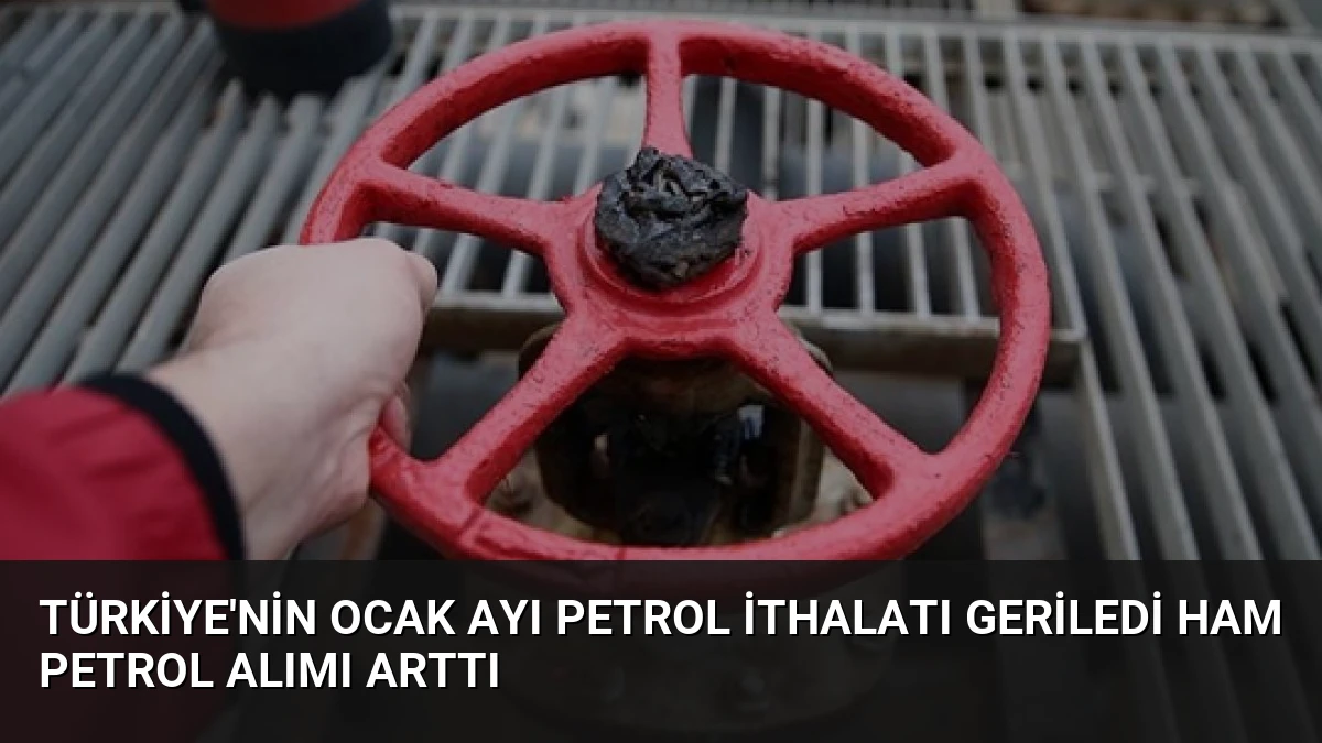 Türkiye’nin Ocak Ayı Petrol İthalatı Geriledi Ham Petrol Alımı Arttı