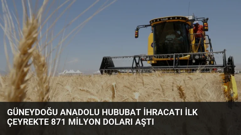 Güneydoğu Anadolu Hububat İhracatı İlk Çeyrekte 871 Milyon Doları Aştı