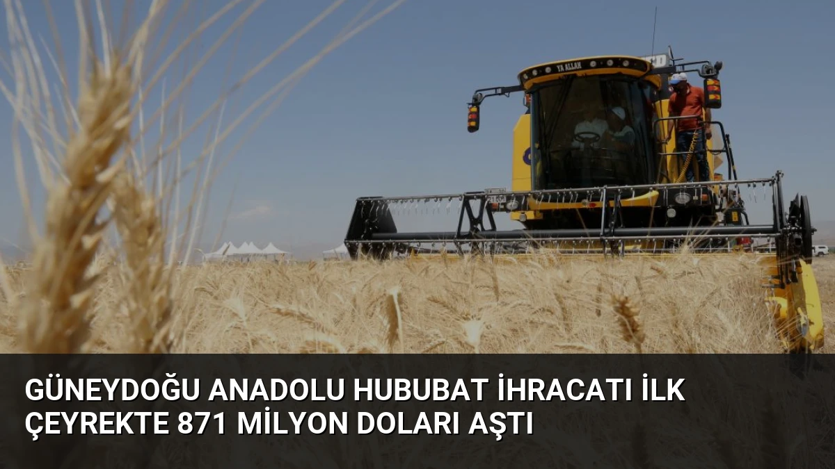 Güneydoğu Anadolu Hububat İhracatı İlk Çeyrekte 871 Milyon Doları Aştı
