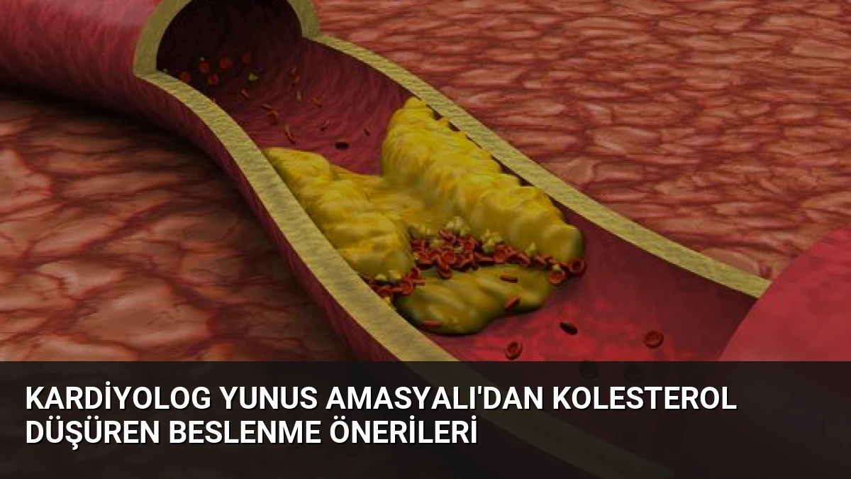 Kardiyolog Yunus Amasyalı’dan Kolesterol Düşüren Beslenme Önerileri