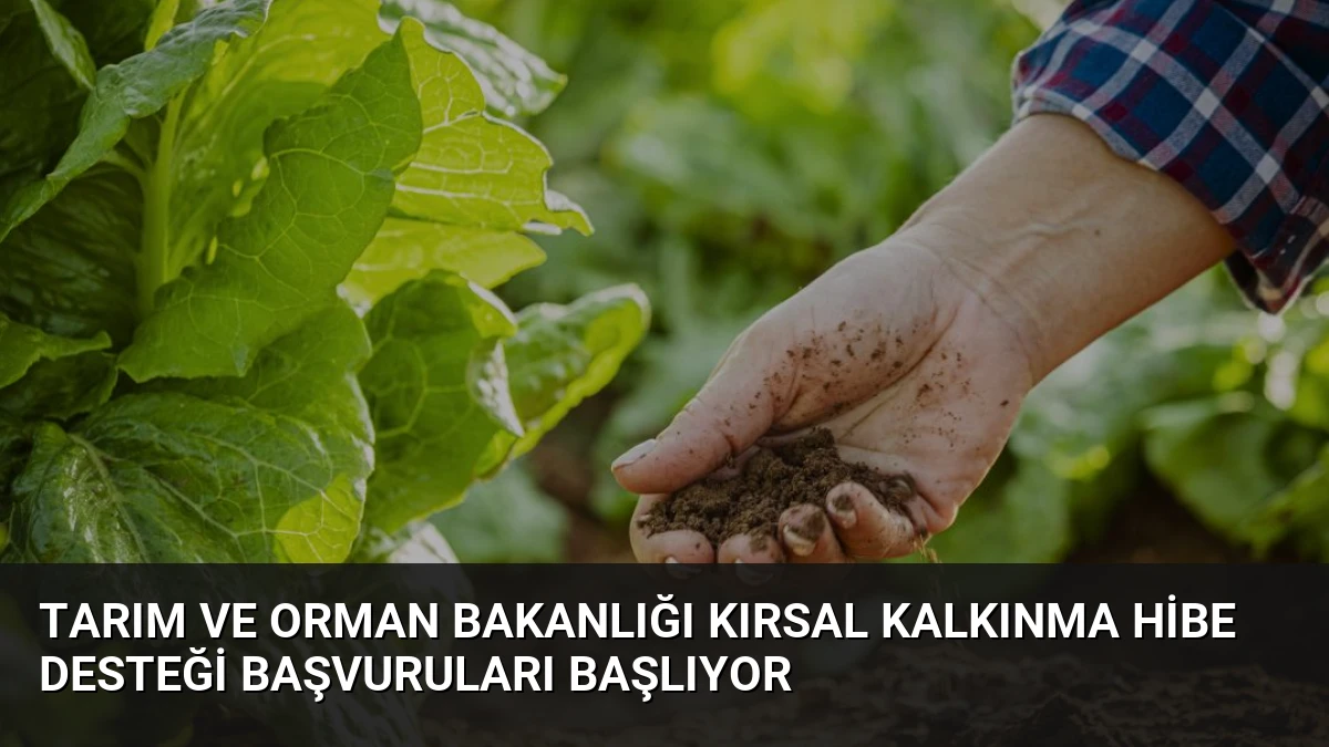 Tarım ve Orman Bakanlığı Kırsal Kalkınma Hibe Desteği Başvuruları Başlıyor