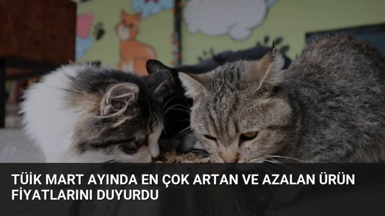 TÜİK Mart Ayında En Çok Artan ve Azalan Ürün Fiyatlarını Duyurdu