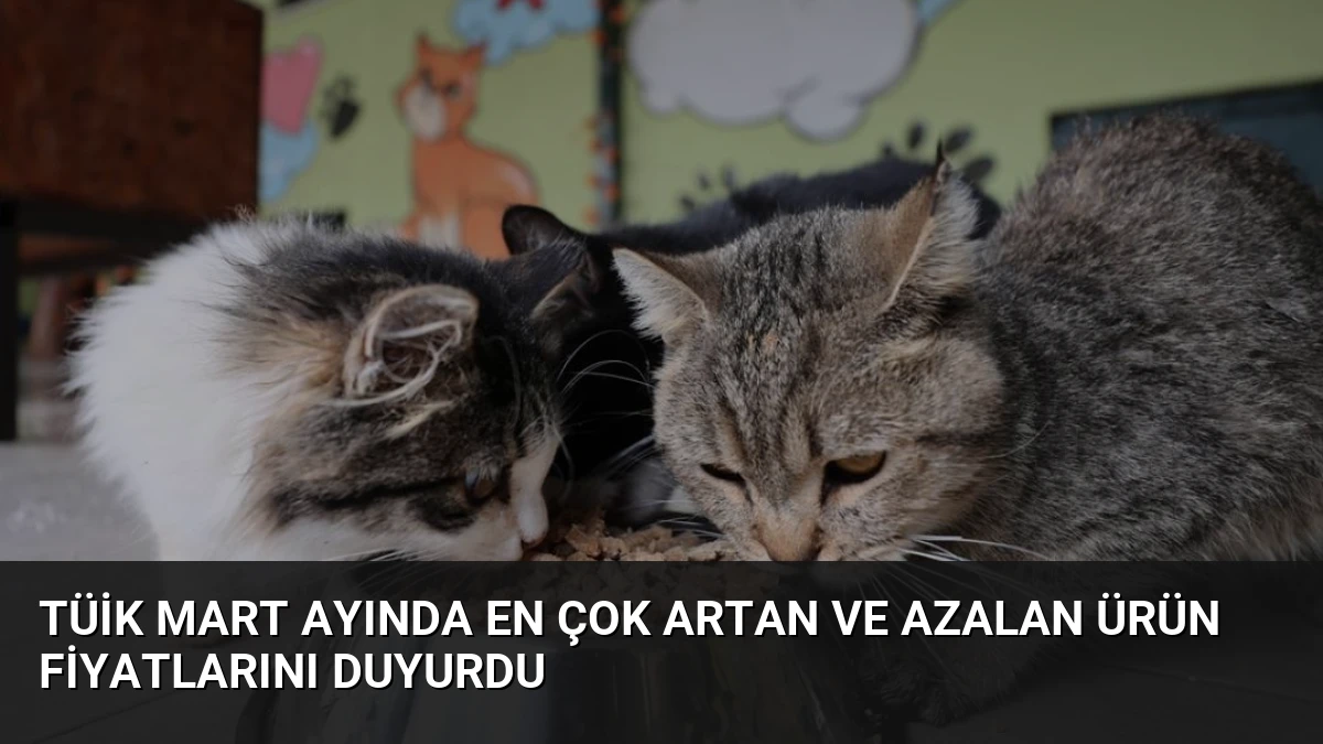 TÜİK Mart Ayında En Çok Artan ve Azalan Ürün Fiyatlarını Duyurdu