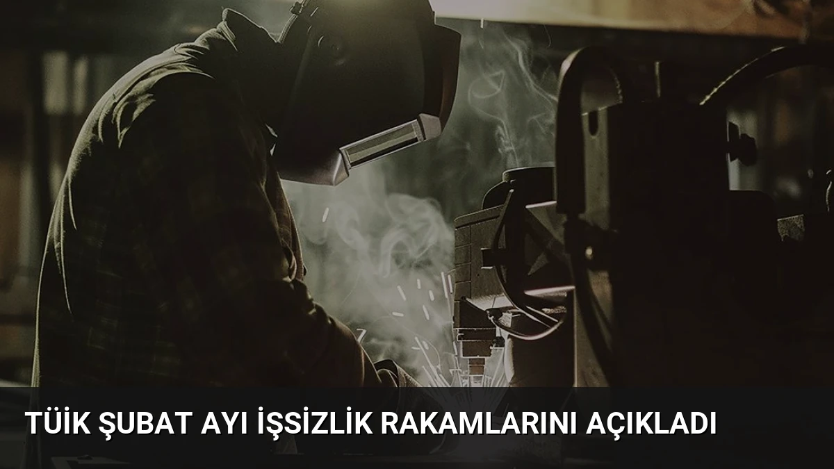 TÜİK Şubat Ayı İşsizlik Rakamlarını Açıkladı