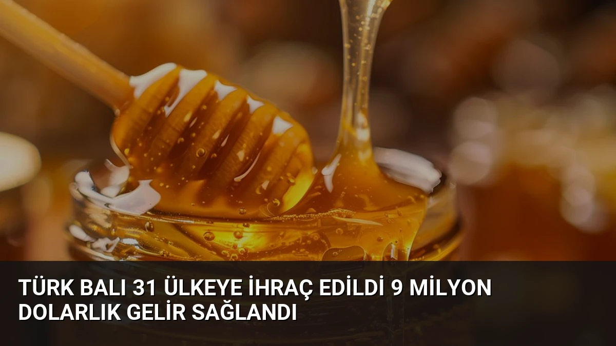 Türk Balı 31 Ülkeye İhraç Edildi 9 Milyon Dolarlık Gelir Sağlandı