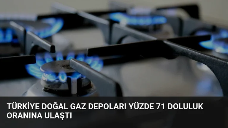Türkiye Doğal Gaz Depoları Yüzde 71 Doluluk Oranına Ulaştı