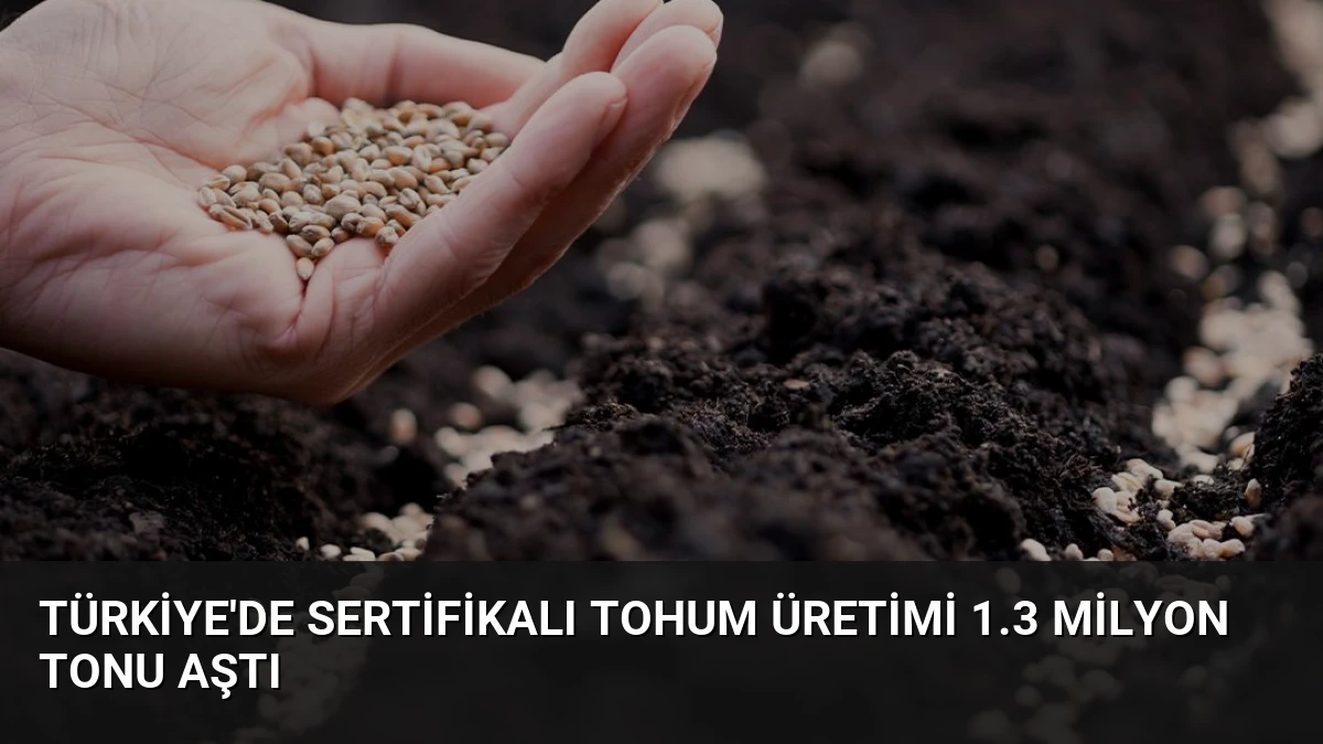 Türkiye’de Sertifikalı Tohum Üretimi 1.3 Milyon Tonu Aştı