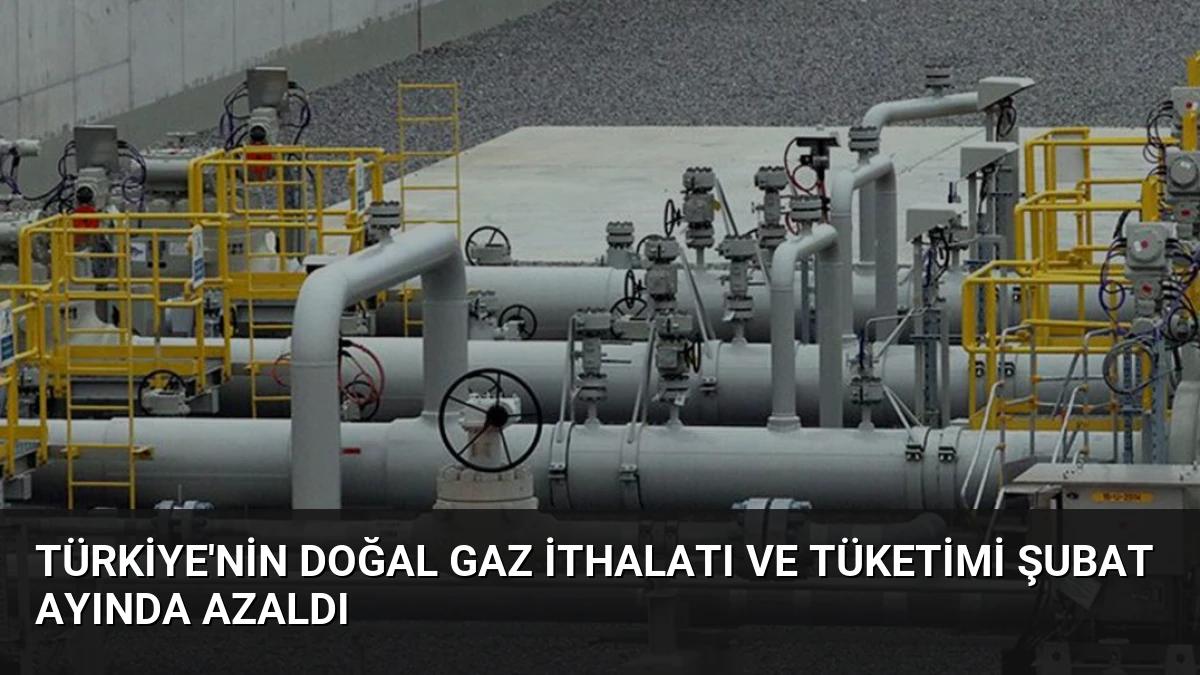 Türkiye’nin Doğal Gaz İthalatı ve Tüketimi Şubat Ayında Azaldı
