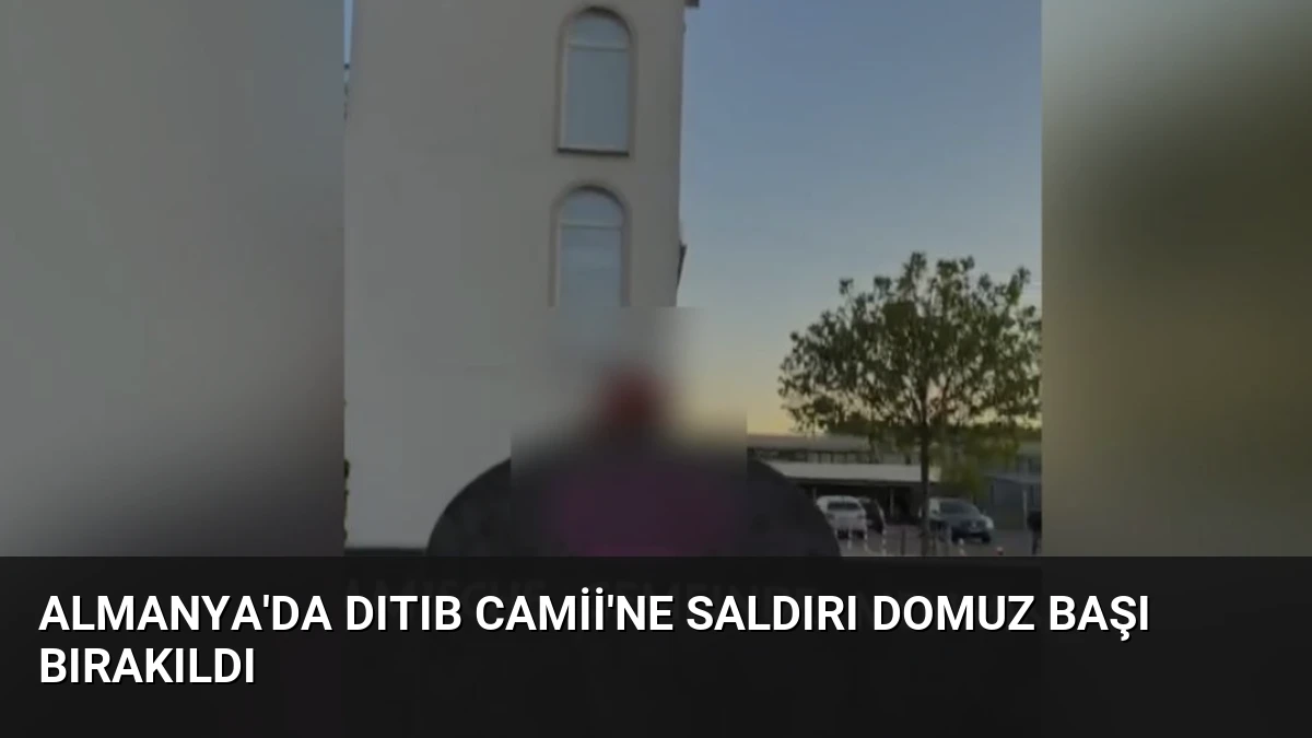 Almanya’da DITIB Camii’ne Saldırı Domuz Başı Bırakıldı