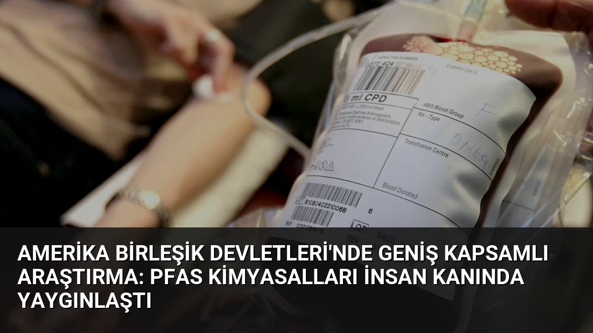 Amerika Birleşik Devletleri’nde Geniş Kapsamlı Araştırma: PFAS Kimyasalları İnsan Kanında Yaygınlaştı