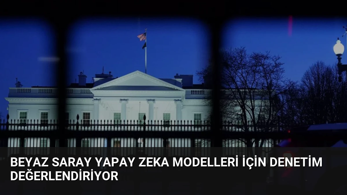 Beyaz Saray Yapay Zeka Modelleri İçin Denetim Değerlendiriyor