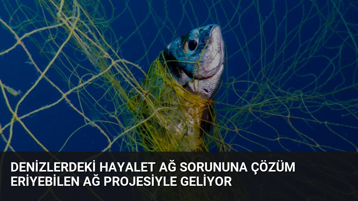 Denizlerdeki Hayalet Ağ Sorununa Çözüm Eriyebilen Ağ Projesiyle Geliyor