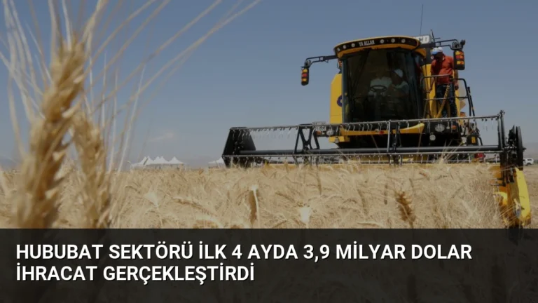 Hububat Sektörü İlk 4 Ayda 3,9 Milyar Dolar İhracat Gerçekleştirdi