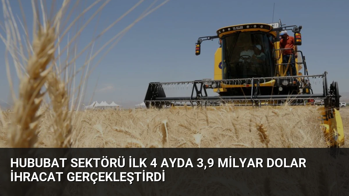 Hububat Sektörü İlk 4 Ayda 3,9 Milyar Dolar İhracat Gerçekleştirdi