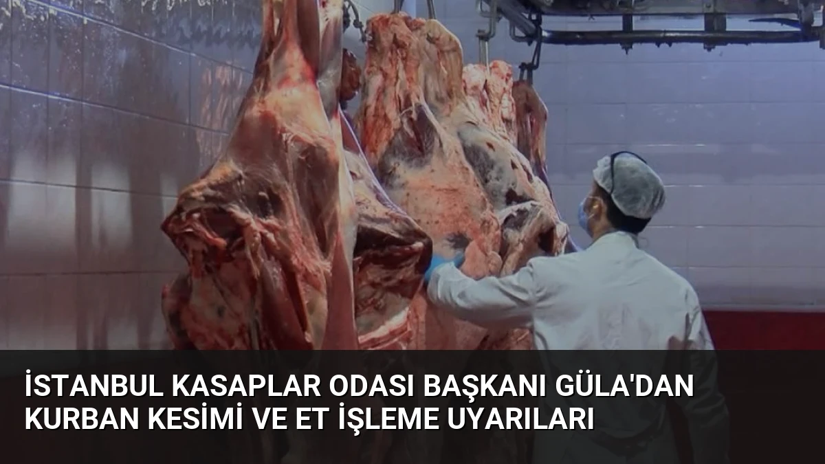İstanbul Kasaplar Odası Başkanı Güla’dan Kurban Kesimi ve Et İşleme Uyarıları