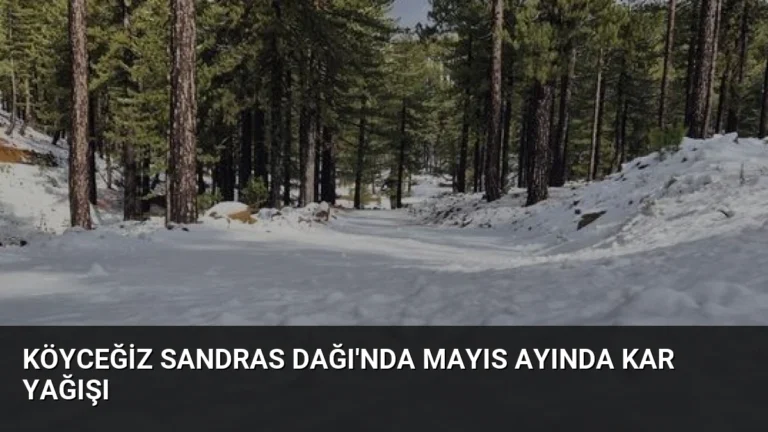Köyceğiz Sandras Dağı’nda Mayıs Ayında Kar Yağışı