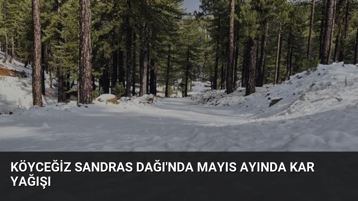 Köyceğiz Sandras Dağı’nda Mayıs Ayında Kar Yağışı
