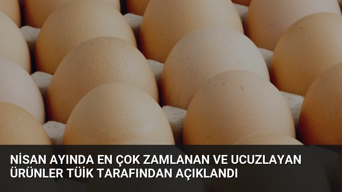 Nisan Ayında En Çok Zamlanan ve Ucuzlayan Ürünler TÜİK Tarafından Açıklandı