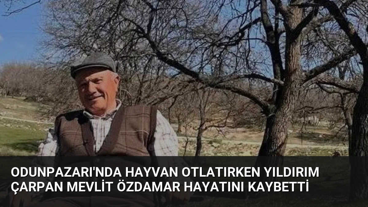 Odunpazarı’nda Hayvan Otlatırken Yıldırım Çarpan Mevlit Özdamar Hayatını Kaybetti