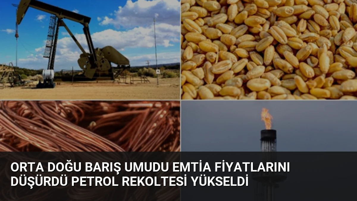Orta Doğu Barış Umudu Emtia Fiyatlarını Düşürdü Petrol Rekoltesi Yükseldi