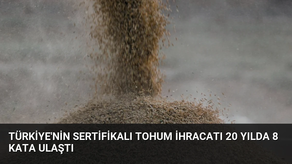 Türkiye’nin Sertifikalı Tohum İhracatı 20 Yılda 8 Kata Ulaştı