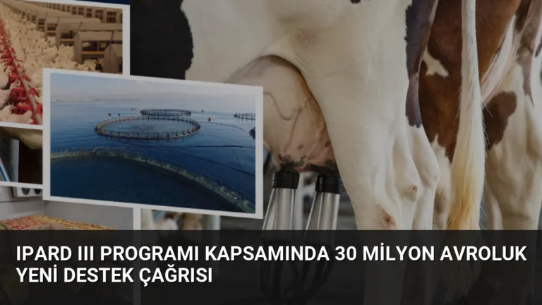IPARD III Programı kapsamında 30 milyon avroluk yeni destek çağrısı