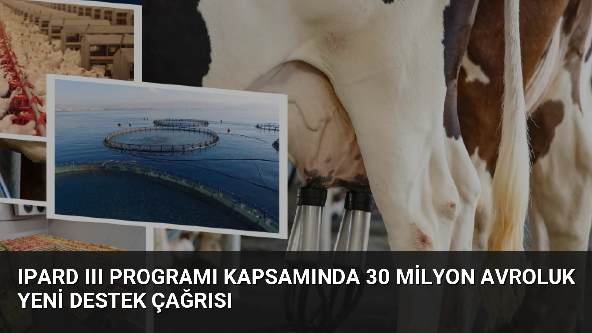 IPARD III Programı kapsamında 30 milyon avroluk yeni destek çağrısı