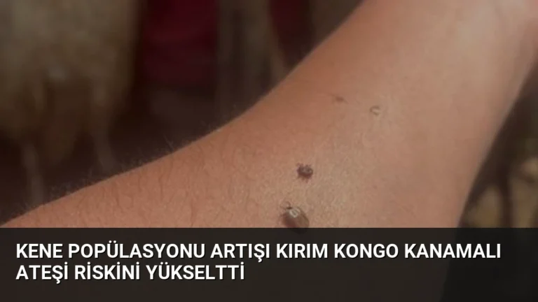 Kene Popülasyonu Artışı Kırım Kongo Kanamalı Ateşi Riskini Yükseltti