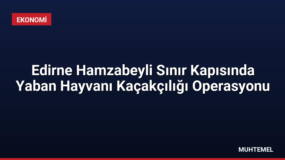 Edirne Hamzabeyli Sınır Kapısında Yaban Hayvanı Kaçakçılığı Operasyonu