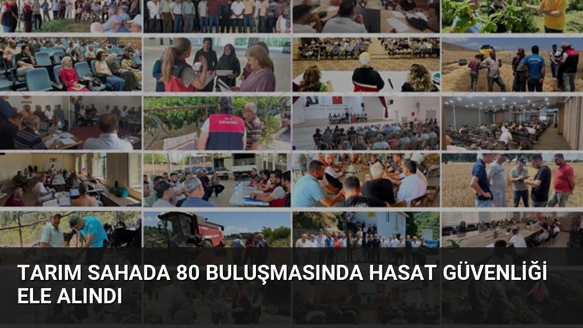 Tarım Sahada 80 Buluşmasında Hasat Güvenliği Ele Alındı