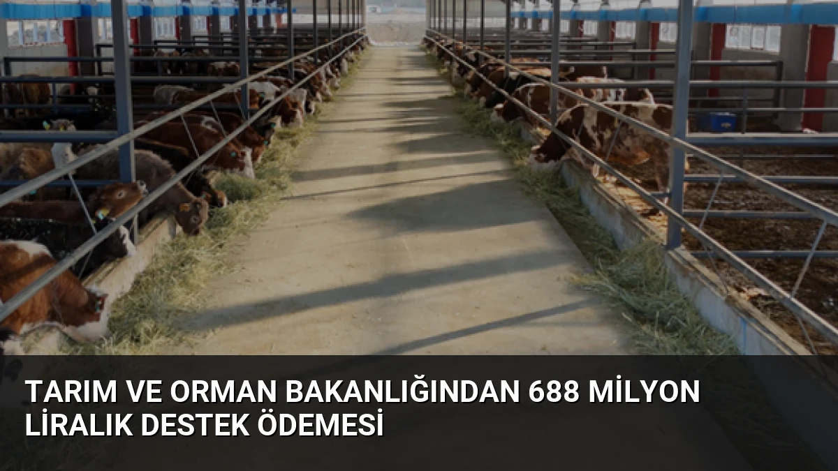 Tarım ve Orman Bakanlığından 688 Milyon Liralık Destek Ödemesi