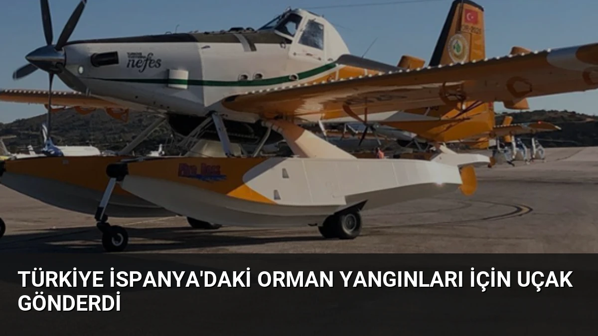 Türkiye İspanya’daki Orman Yangınları İçin Uçak Gönderdi