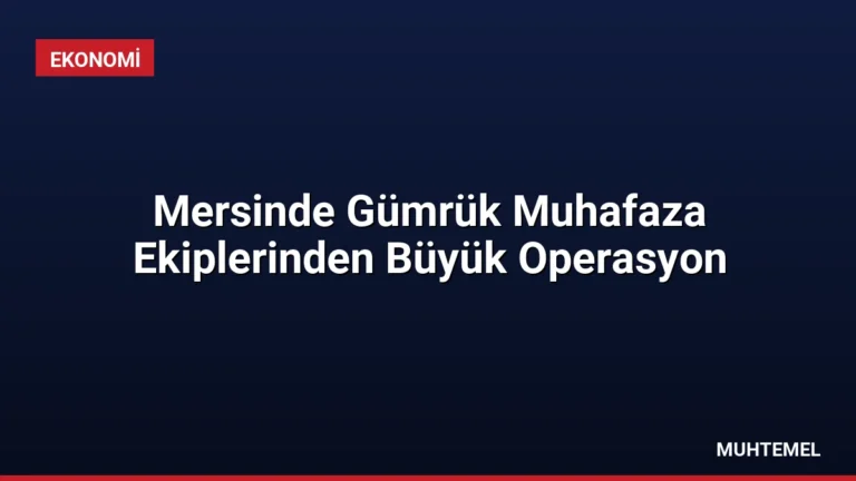 Mersinde Gümrük Muhafaza Ekiplerinden Büyük Operasyon