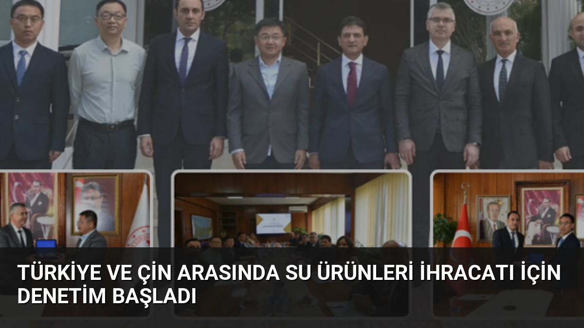 Türkiye ve Çin Arasında Su Ürünleri İhracatı İçin Denetim Başladı