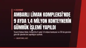 Ambarlı Liman Kompleksi'nde 9 Ayda 1,4 Milyon Konteynerin Gümrük İşlemi Yapıldı