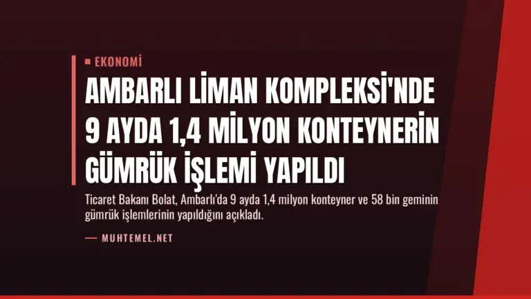 Ambarlı Liman Kompleksi'nde 9 Ayda 1,4 Milyon Konteynerin Gümrük İşlemi Yapıldı